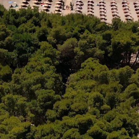 Relax Camping Vlore Hotell Eksteriør bilde